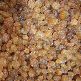 تصویر 4 از خرید و قیمت کشمش پلویی درجه یک + فروش عمده