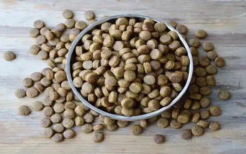 تصویر 2 از قیمت خرید غذای ماهی کپور در استخر بتنی + فروش ویژه