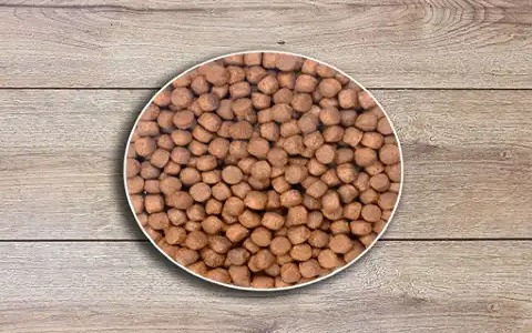 تصویر 1 از قیمت خرید غذای ماهی کپور در استخر بتنی + فروش ویژه