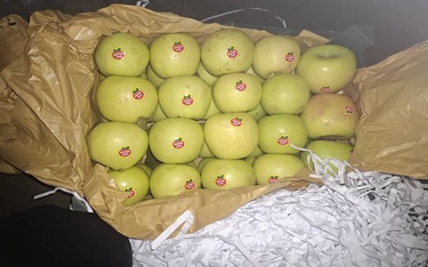 تصویر 2 از فروش سیب زرد درختی + قیمت خرید به صرفه