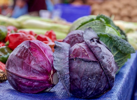 تصویر 2 از قیمت خرید کلم برگ بنفش + فروش ویژه