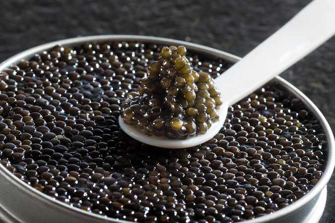 تصویر 2 از خرید و قیمت خاویار سیاه آذربایجان + فروش صادراتی