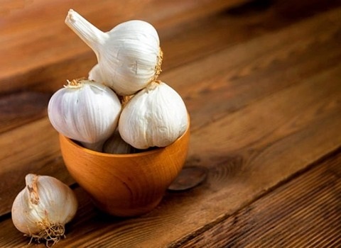 تصویر 3 از خرید و قیمت سیر همدان عمده + فروش صادراتی