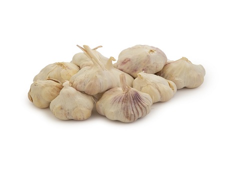 تصویر 3 از قیمت خرید سیر خشک عمده + فروش ویژه