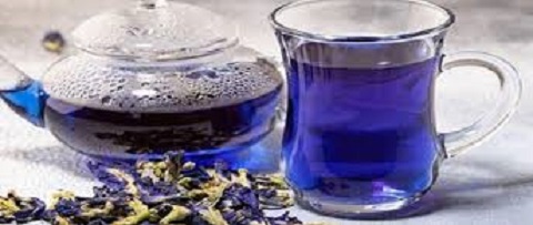 تصویر 4 از فروش گیاه دارویی گل گاوزبان + قیمت خرید به صرفه