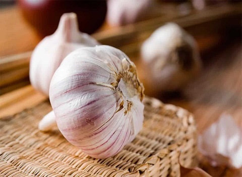 تصویر 3 از خرید و قیمت سیر حبه درشت + فروش عمده