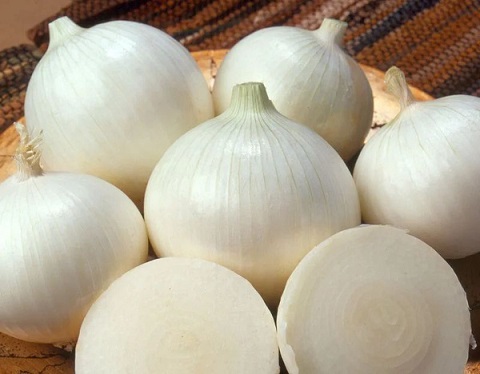 تصویر 4 از قیمت خرید پیاز سفید شیرین + فروش ویژه