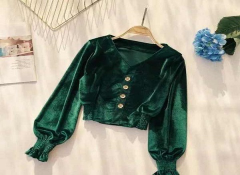 تصویر 2 از فروش شومیز مخمل مجلسی + قیمت خرید به صرفه