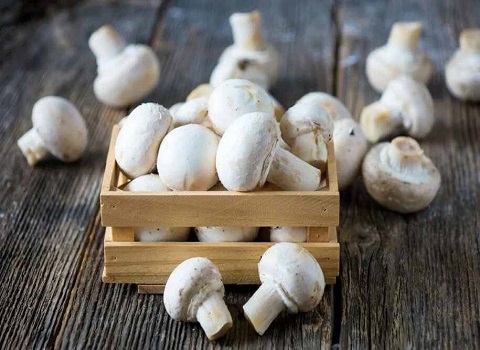 تصویر 2 از قیمت خرید قارچ بسته بندی دزفول با فروش عمده