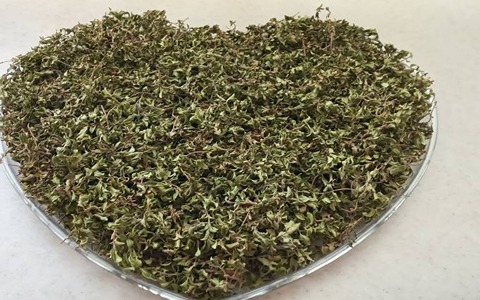 تصویر 3 از فروش آویشن کوهی خشک + قیمت خرید به صرفه