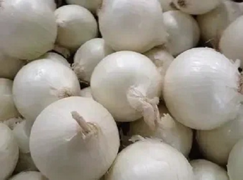 تصویر 3 از قیمت خرید پیاز سفید صادراتی + فروش ویژه