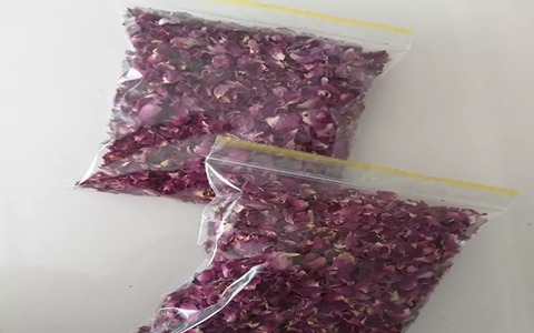 تصویر 3 از فروش گل محمدی تازه + قیمت خرید به صرفه