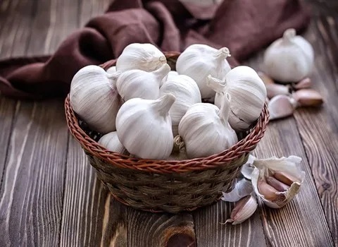 تصویر 1 از خرید و قیمت سیر دانه درشت + فروش عمده