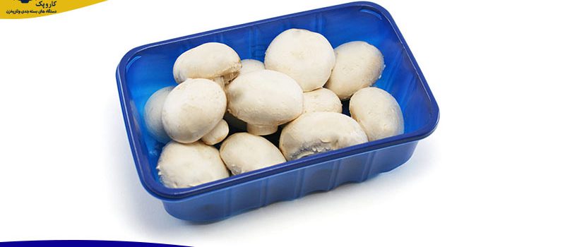تصویر 3 از قیمت قارچ بسته بندی کوچک با کیفیت ارزان + خرید عمده
