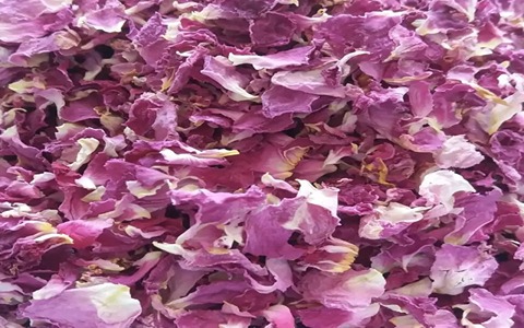 تصویر 2 از فروش گل محمدی خشک + قیمت خرید به صرفه