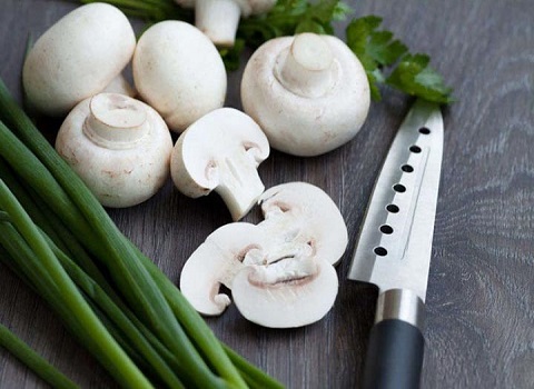 تصویر 1 از قیمت خرید قارچ خوراکی طبیعی + فروش ویژه