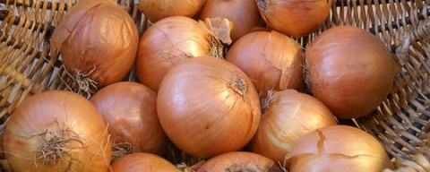تصویر 4 از قیمت خرید پیاز زرد شیرین + فروش ویژه