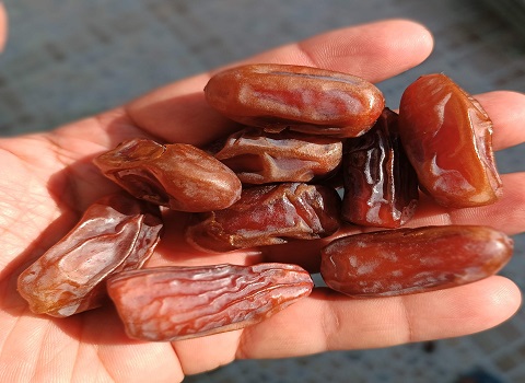تصویر 3 از خرید خرما پیارم ظرفی + قیمت فروش استثنایی