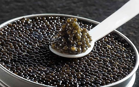 تصویر 4 از خرید و قیمت کنسرو ماهی خاویار + فروش صادراتی