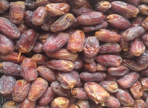 تصویر 2 از قیمت خرما بریم شادگان با کیفیت ارزان + خرید عمده