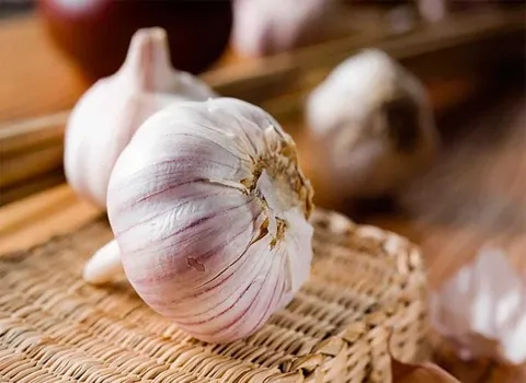 تصویر 4 از قیمت خرید سیر همدان درجه یک + فروش ویژه