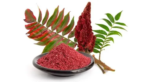 تصویر 1 از قیمت خرید سماق خوشه ای قرمز + فروش ویژه