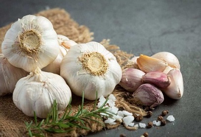 تصویر 1 از قیمت خرید سیر همدان مرغوب + فروش ویژه