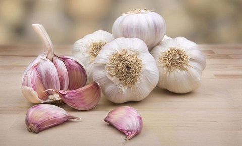 تصویر 4 از قیمت خرید سیر همدان مرغوب + فروش ویژه