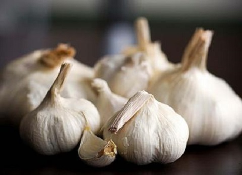 تصویر 2 از قیمت خرید سیر همدان سفید + فروش ویژه