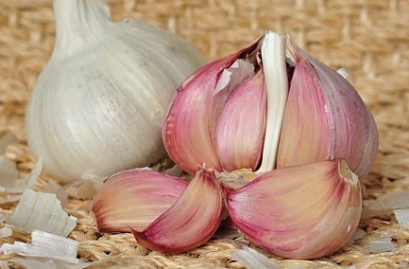 تصویر 4 از قیمت خرید سیر همدان ممتاز + فروش ویژه