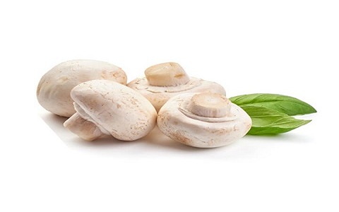 تصویر 2 از قیمت قارچ تازه سفید + خرید باور نکردنی