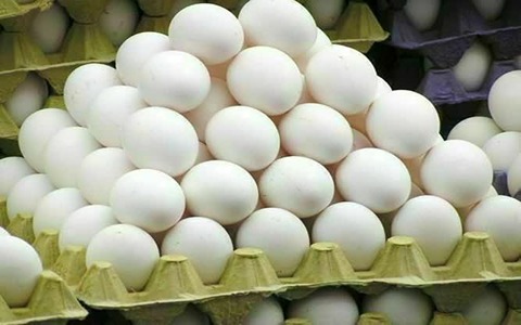 تصویر 4 از فروش تخم مرغ زرده طلایی + قیمت خرید به صرفه