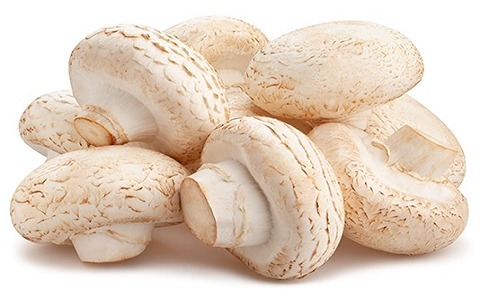 تصویر 2 از قیمت  قارچ خوراکی طبیعی + خرید باور نکردنی