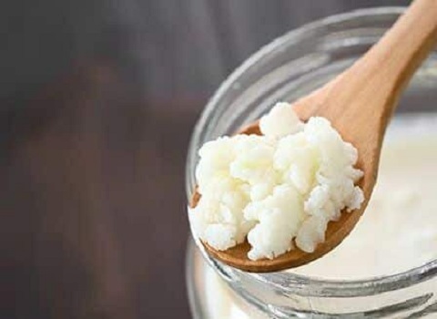 تصویر 1 از خرید و قیمت استارتر کالچر لبنی + فروش عمده