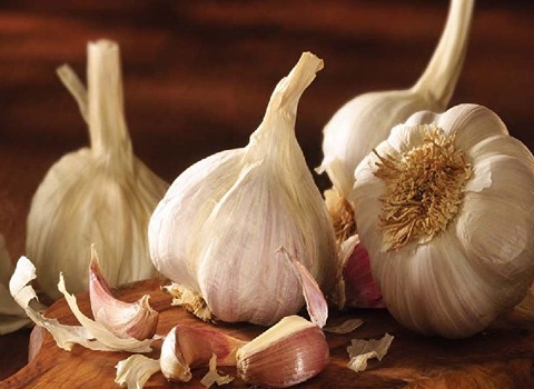 تصویر 2 از قیمت خرید سیر همدان خام + فروش ویژه