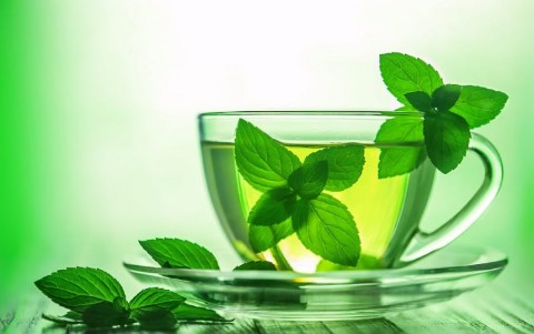 تصویر 4 از قیمت عرق نعنا ممتاز دو آتیشه سنتی درجه یک با کیفیت ارزان + خرید عمده