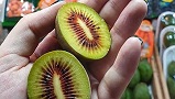تصویر 3 از خرید و قیمت کیوی قرمز چالوس + فروش عمده