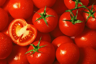 تصویر 2 از فروش گوجه فرنگی حشمتی + قیمت خرید به صرفه