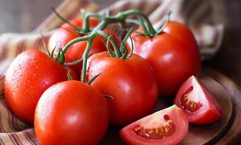 تصویر 4 از خرید و فروش گوجه فرنگی گیلاسی با شرایط فوق العاده