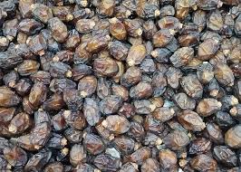تصویر 4 از خرید و قیمت خرما خشک + فروش عمده