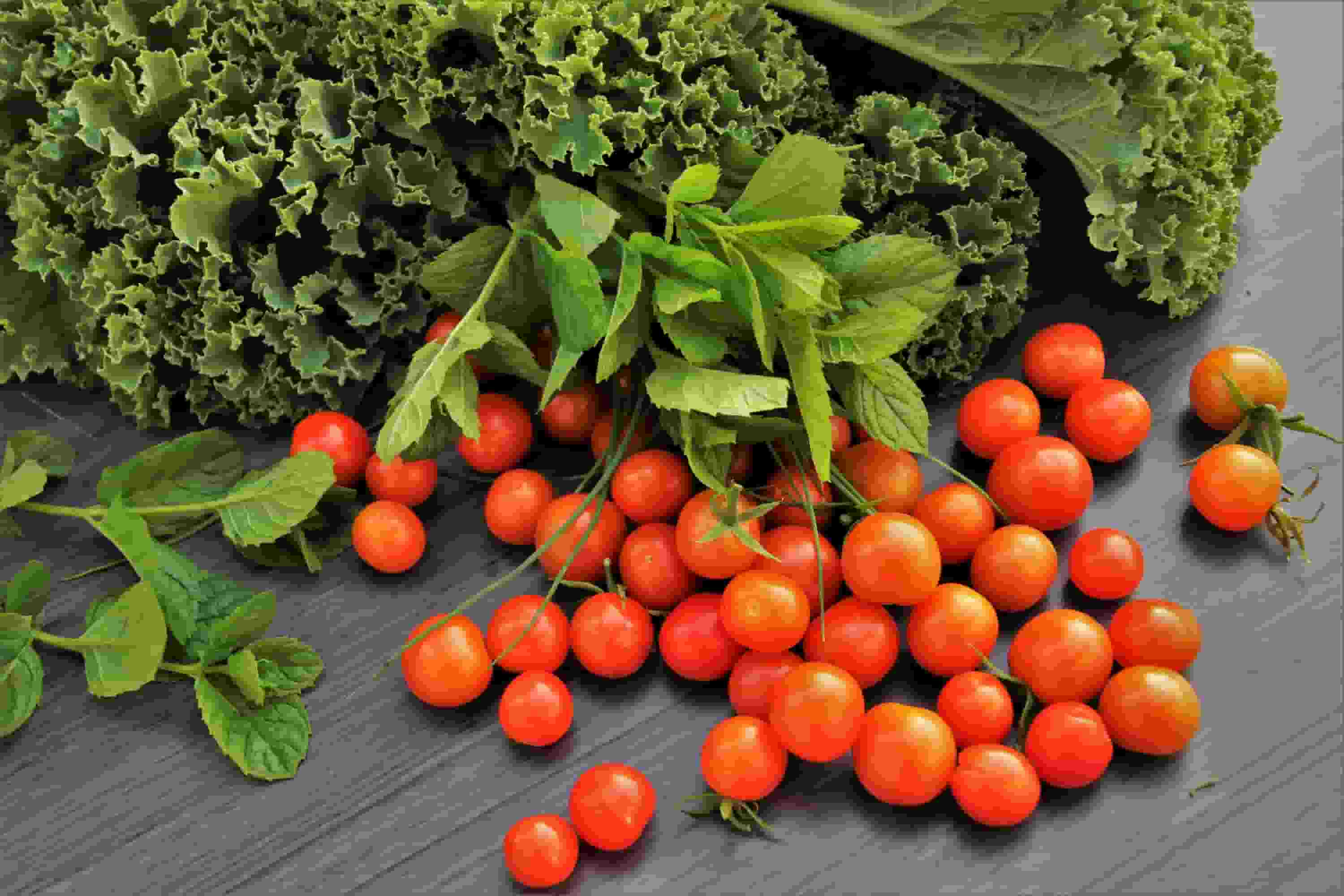 تصویر 1 از خرید و قیمت گوجه فرنگی گیلاسی گلخانه ای + فروش صادراتی
