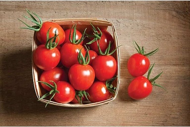 تصویر 3 از خرید و فروش گوجه فرنگی پارس با شرایط فوق العاده