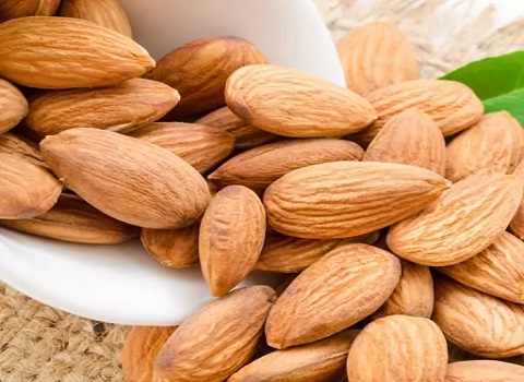 تصویر 1 از فروش مغز بادام مامایی + قیمت خرید به صرفه
