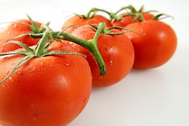 تصویر 2 از قیمت خرید گوجه فرنگی محلی + فروش ویژه
