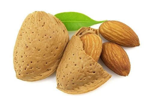 تصویر 4 از خرید مغز بادام سنگی + قیمت فروش استثنایی