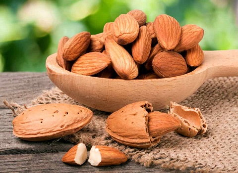 تصویر 1 از قیمت خرید مغز بادام ربیع + فروش ویژه