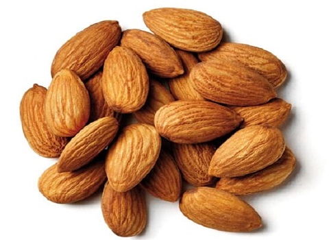 تصویر 2 از قیمت خرید مغز بادام ربیع + فروش ویژه