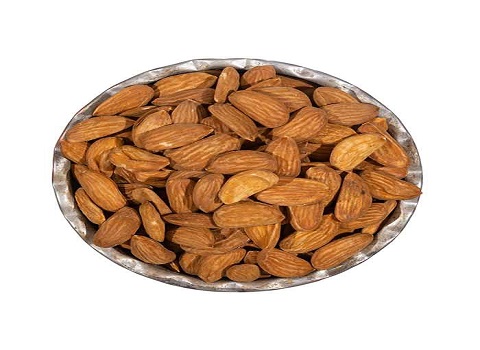 تصویر 4 از قیمت خرید مغز بادام ربیع + فروش ویژه