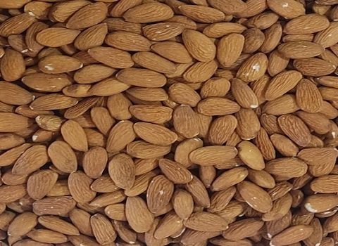 تصویر 3 از مغز بادام امسالی مرغوب و سالم برای تهیه دسر و شکلات خانگی
