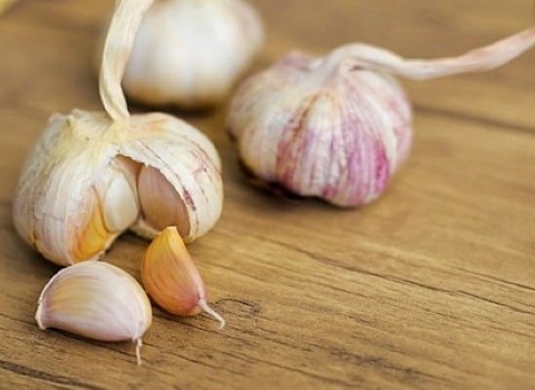 تصویر 1 از قیمت سیر خشک کیلویی + خرید باور نکردنی